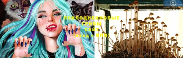 прущие грибы Липки